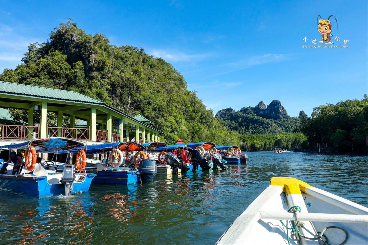 Jelajahi Mangrove Tour Langkawi: Keindahan Alam yang Tersembunyi